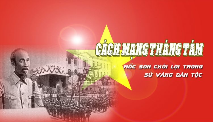 cmt8