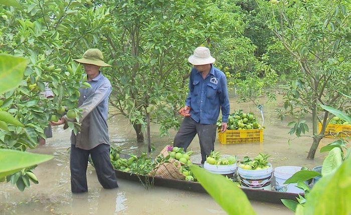 Dân miền Tây khốn đốn vì nước lũ và triều cường lên quá cao-tinviettoday.vn
