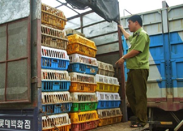 images615882_anh_bat_ga_lau