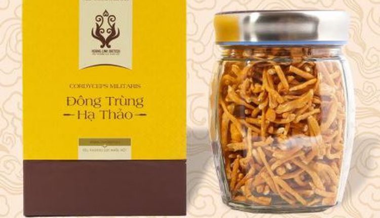 dong-trung-ha-thao-4