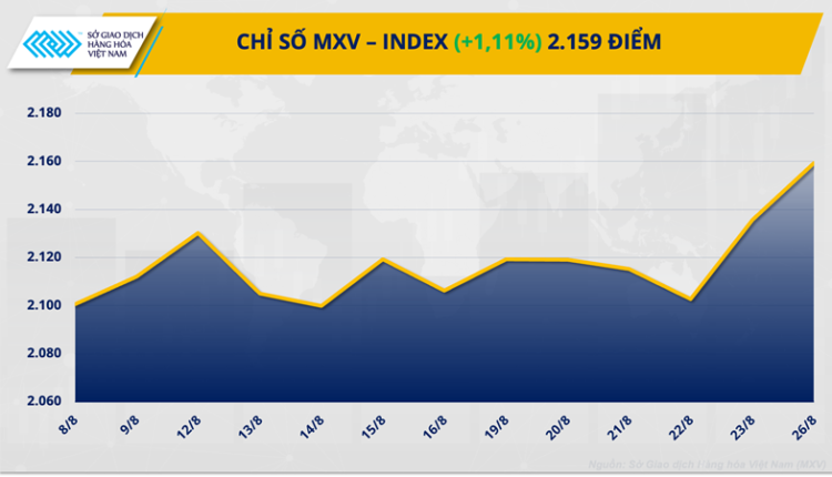 chi-so-mxv